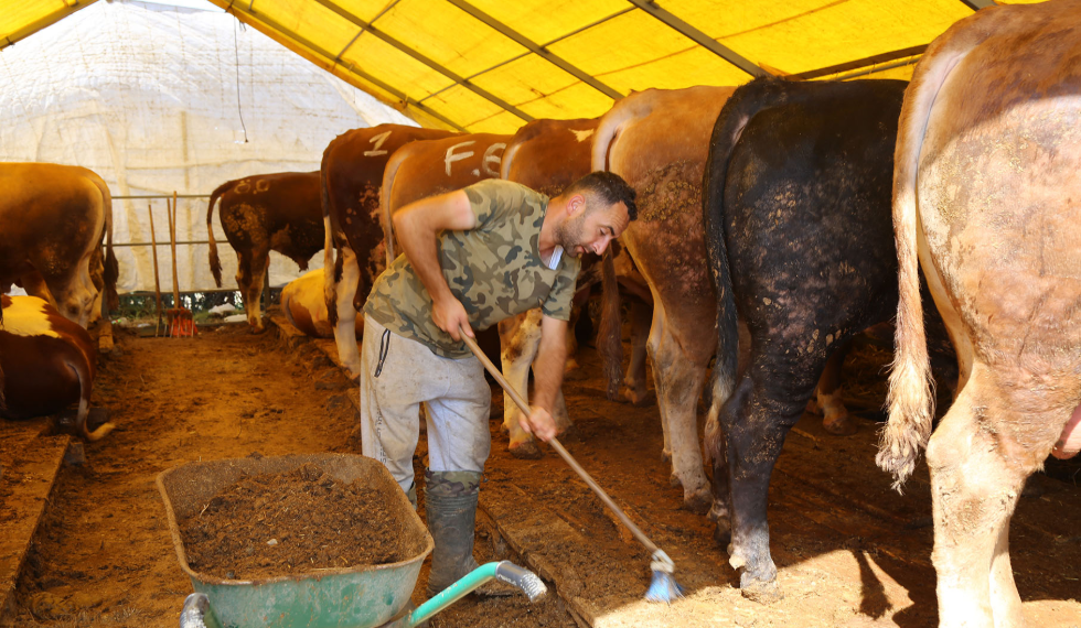 Büyükçekmece’de kurban kesim ve satış alanı bayrama hazır