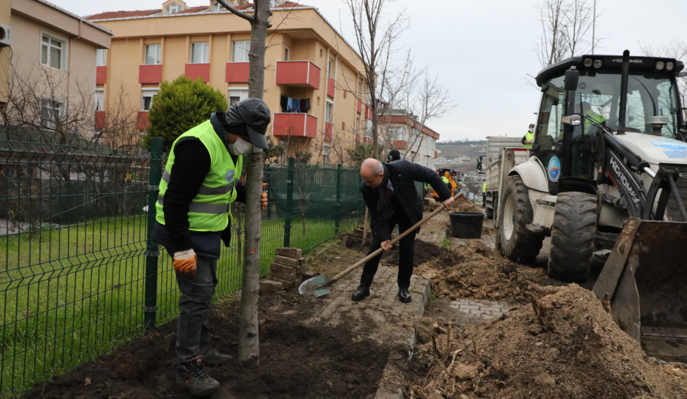Büyükçekmece 2022 yılına 22 ıhlamur ağacı dikerek girdi